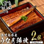 産うなぎ蒲焼 150g×2本