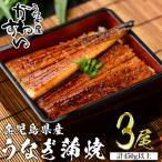 産うなぎ蒲焼 150g×3本