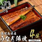 産うなぎ蒲焼 150g×4本