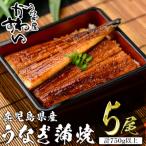 産うなぎ蒲焼 150g×5本