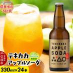 テキカカアップルソーダ 330ml×24本