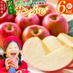 りんご 葉とらずサンふじ 訳あり 約6kg