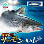 ふるさと納税 陸前高田市 先行受付 陸前高田サーモン まるごと1本 約2.5kg 【 鮭 銀鮭 ブランド サーモン 冷蔵 】