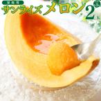 ふるさと納税 佐川町 <2026年7月中旬頃〜8月中旬ごろ発送予定>メロン 2玉 合計約3kg サンライズメロン