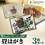 現代の名工カンパニー特製 畳はがき はがき3枚セット