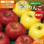 ふるさと納税 湯沢市 三関産 旬のりんご 家庭用 3kg[J15101]