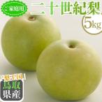 梨 なし 二十世紀梨 約5kg