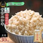 ふるさと納税 東松島