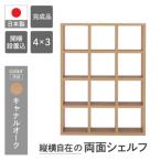 フリーダム両面シェルフ RSC-430