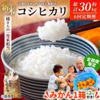 新米 <令和8年産 コシヒカリ 約5kg