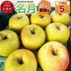 ふるさと納税 弘前市 【26年11月下旬発送】りんご 名月【訳あり】家庭用 約5kg|24_cmn-110501a