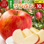 りんご 葉とらずサンふじ 約10kg