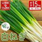 fu.... налог .. город &lt; установленный срок рейс 3 раз &gt; белый лук порей ( примерно 5kg×3 раз * итого 15kg)&lt;11 месяц сверху .~3 месяц последняя декада отправка предположительно &gt;