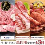 ふるさと納税 南さつま市 【厳選焼肉定期便】黒毛和牛・ブランド豚・牛タン 全3回コース