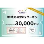 日本旅行 地域 旅行クーポン30 000円分