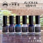 メンズネイル6色セット