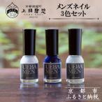 メンズネイル3色セット