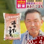 米 あきたこまち 米どころ 令和8年産 精米 20kg