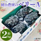 <シャインマスカット 約2kg>