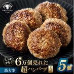 超ハンバーグミニ 5個