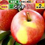 りんご 葉とらず ふじ 約2kg