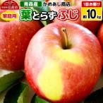 りんご 葉とらず ふじ 約10kg
