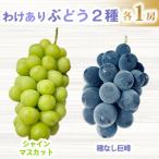 ふるさと納税 東御市 【先行受付2026年発送】わけあり2種のぶどうセット(シャインマスカット、種無し巨峰)各1房
