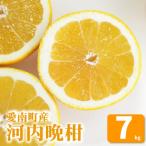 ふるさと納税 愛南町 �