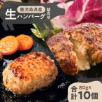 肉 ハンバーグ 産黒豚 生ハンバーグ詰合せ