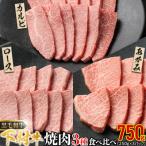 ふるさと納税 大府市 『下村牛』焼肉3種食べ比べセット750g