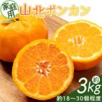 ポンカン 3kg