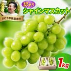 ふるさと納税 米沢市 【先行受付】 令和8年産 訳あり シャインマスカット 1kg