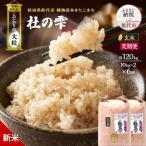新米 定期便6ヶ月 あきたこまち 20kg