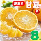 先行受付 訳あり 甘夏 8kg