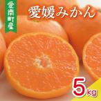 先行受付 愛媛みかん 5kg