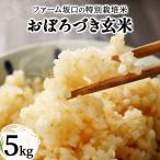 令和 7年産 ファーム坂口の特別栽培米 おぼろづき玄米5kg
