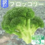 訳ありブロッコリー 約3kg