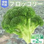 ブロッコリー 約2kg