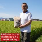 ふるさと納税 三条市 