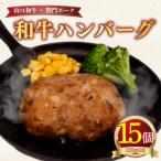 ショッピングふるさと納税 ハンバーグ ふるさと納税 下関市 黒毛和牛入 ハンバーグ 15個 冷凍 MB004