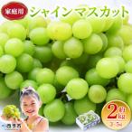<シャインマスカット 約2kg>