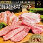 焼肉 おおいた和牛焼肉セット 合計500g