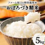令和7年産 ファーム坂口の特別栽培米 おぼろづき精米 5kg