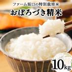 令和7年産 ファーム坂口の特別栽培米 おぼろづき精米 10kg