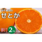 ショッピングせとか ふるさと納税 愛南町 数量限定 先行受付 訳あり せとか 2kg 岡平農園 愛南町 愛媛県
