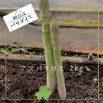 fu.... налог futoshi хорошо блок утро .. спаржа 2kg утро .. немедленная отправка [ Akira день. pala кости ] P113