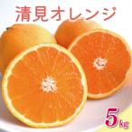 先行受付 清見 オレンジ 5kg