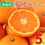 訳あり 愛媛みかん 温州 極早生 みかん 5kg
