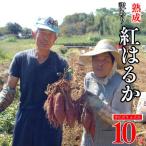 訳あり 熟成 紅はるか 10kg