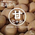 ふるさと納税 美瑛町 じゃがいも (北あかり)5kg【令和8年産先行受付】黒木農場[006-29]